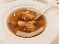 椰子炖老鸽-广州酒家(昌岗地铁站店)