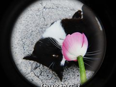 -青龙湖公园