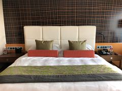 -新加坡文华东方酒店