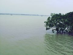 -宝安西湾红树林湿地公园