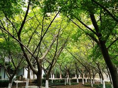 -白马涧龙池景区