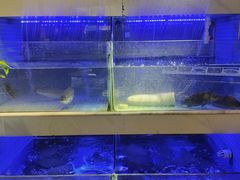 -王捌小院(红花坡店)