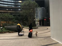 -星巴克(北京通州新光大中心店)