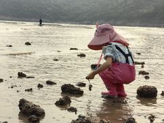 -小皓村