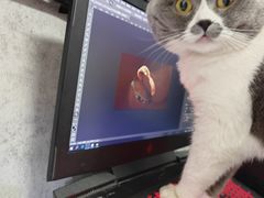 -不作·手工银饰DIY(西红门店)