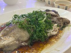 -富临皇宫(石门店)