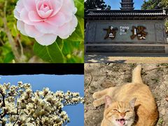 -常熟方塔园