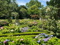 -上海共青森林公园