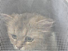 -心仪动物医院·牙专科·肿瘤·心脏科(西客站院)