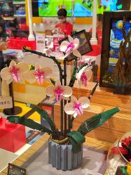 -乐高授权专卖店(鲁能城购物中心店)