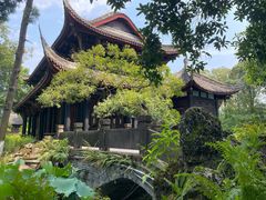 -桂湖森林公园