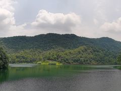 -桃花岭景区
