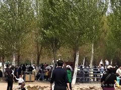 -长白岛森林公园