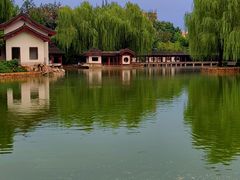 -团结湖公园
