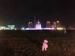 -大连星海广场音乐喷泉