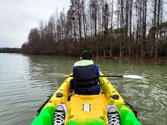 -上海海湾国家森林公园