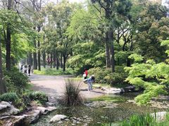 -上海滨江森林公园