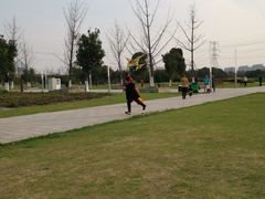 -九里河湿地公园