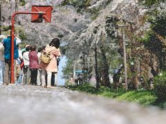 -姑奶奶老厨房(南坪路总店)