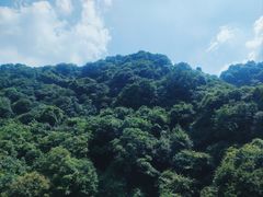 -少华山国家森林公园