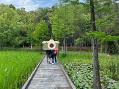 -昆山城市生态森林公园