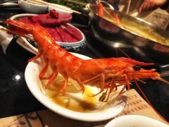 -大红袍火锅料理(尖沙咀店)