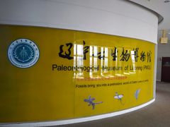 -辽宁古生物博物馆