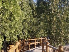 -白水寺森林公园