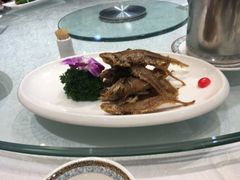 -金米箩大酒店(五角场店)