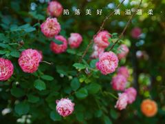 -太阳宫公园