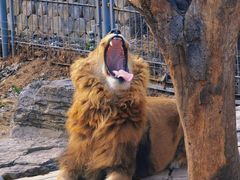 -济南野生动物世界