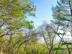 -长春市南湖公园