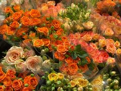 -循礼门鲜花花市(武汉循礼门店)