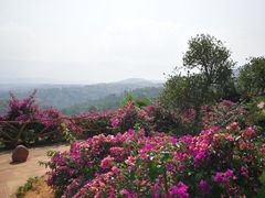 -元谋土林景区(物茂土林)