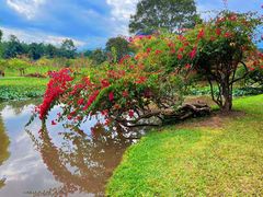 -中国科学院西双版纳热带植物园