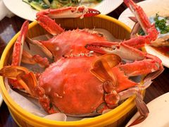 -必点海鲜·海肠捞饭(滨江道一店)