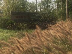 -昆山城市生态森林公园