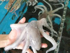 -清水湾3号(东方小周海鲜店)