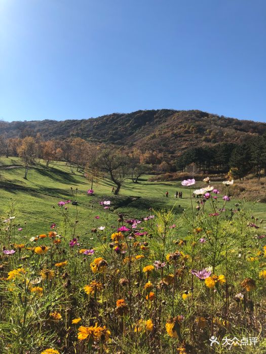 海坨山谷rv-park房车营地-图片-赤城县酒店-大众点评网