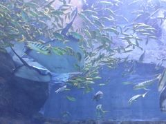 -华夏文旅西安度假区