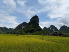 -靖西鹅泉风景区