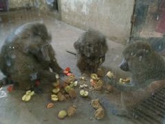 android_upload_pic-龙口南山旅游景区