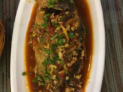 -自游人·美食一楼·地道徽菜(三十年名店)