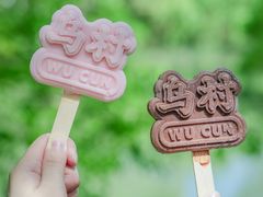 -乌村