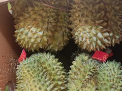 -大连果菜批发市场