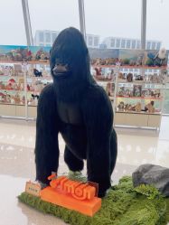 -IMON·HANSA潮玩玩偶毛绒玩具(通州万象汇店)