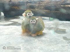 -西安秦岭野生动物园