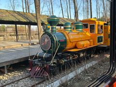 -合肥滨湖国家森林公园