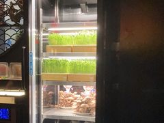 -捞王猪肚鸡火锅(财富中心店)