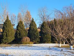 -春晖园度假酒店温泉